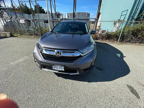 1 image of 2019 Honda CR-V LX