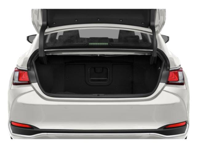 11 thumbnail image of  2019 Lexus ES ES 300h