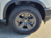 5 thumbnail image of  2026 Honda Passport RTL Blackout