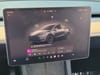23 thumbnail image of  2023 Tesla Model Y