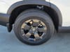 6 thumbnail image of  2026 Honda Passport RTL