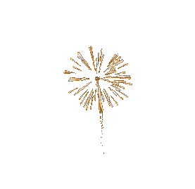 Happy New Year - fireworks
