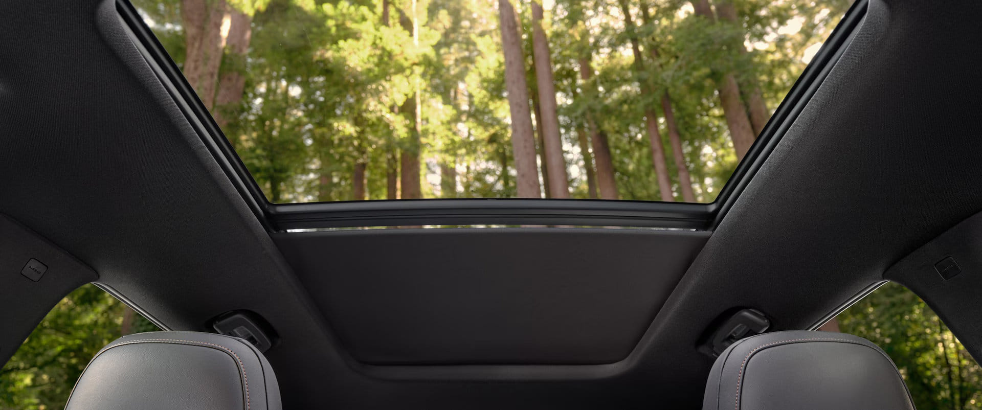 View looking up through the open panoramic sunroof of the 2025 Honda Prologue, revealing tall, sunlit trees against the sky, showcasing the vehicle's airy cabin