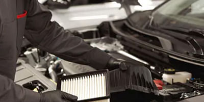  Engine & Cabin Air Filters