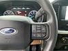 21 thumbnail image of  2023 Ford F-150 XLT