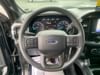 18 thumbnail image of  2023 Ford F-150 XL