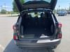 28 thumbnail image of  2025 Ford Escape ST-Line