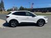 8 thumbnail image of  2025 Ford Escape ST-Line