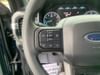 16 thumbnail image of  2023 Ford F-150 XL