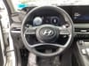 19 imagen en miniatura de 2023 Hyundai Palisade Limited