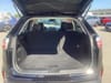 8 thumbnail image of  2024 Ford Edge SEL