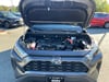 22 thumbnail image of  2024 Toyota RAV4 Hybrid XLE