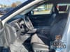 13 thumbnail image of  2025 Nissan Rogue Rock Creek