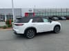 6 imagen en miniatura de 2026 Nissan Pathfinder Platinum
