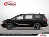 2024 Honda Odyssey Black Edition  - Cooled Seats