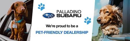 On the left and right are images of dogs looking out the car window, in the middle is the Palladino Subaru logo and text: We're proud to be a PET-FRIENDLY DEALERSHIP