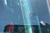 7 imagen en miniatura de 2023 Jeep Wrangler