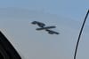 6 imagen en miniatura de 2026 Dodge Charger R/T