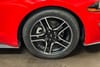 6 thumbnail image of  2022 Ford Mustang EcoBoost Premium