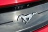 30 thumbnail image of  2020 Ford Mustang EcoBoost