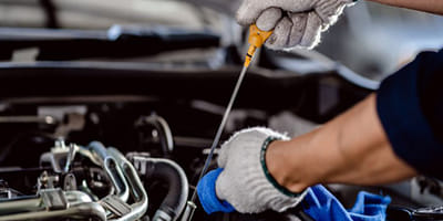Mechanic checking oil level