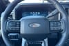 19 thumbnail image of  2025 Ford F-250SD Platinum