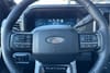19 imagen en miniatura de 2025 Ford F-250SD Platinum