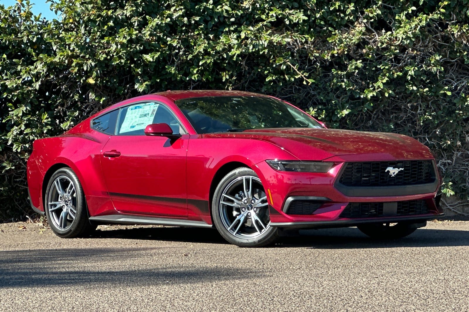 2025 Ford Mustang EcoBoost