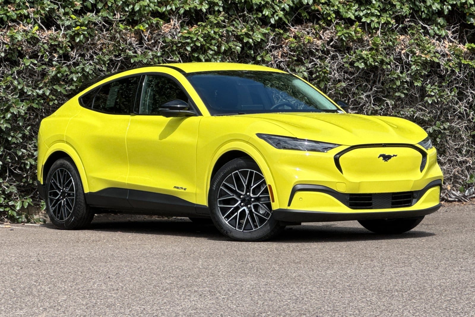 2025 Ford Mustang Mach-E