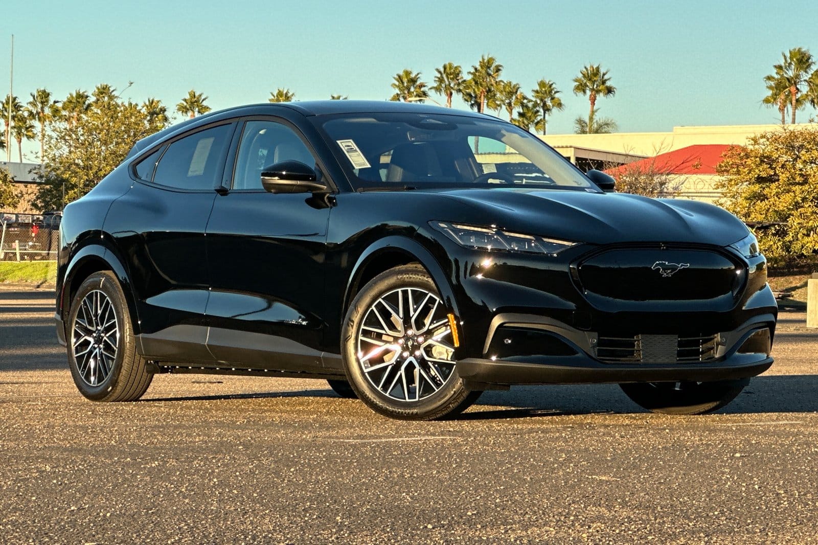 2025 Ford Mustang-Mach-e Premium's photo