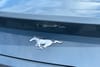 6 thumbnail image of  2026 Ford Mustang EcoBoost