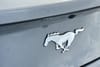 21 thumbnail image of  2026 Ford Mustang EcoBoost