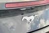 21 thumbnail image of  2026 Ford Mustang EcoBoost