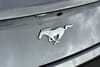 6 thumbnail image of  2026 Ford Mustang EcoBoost Premium