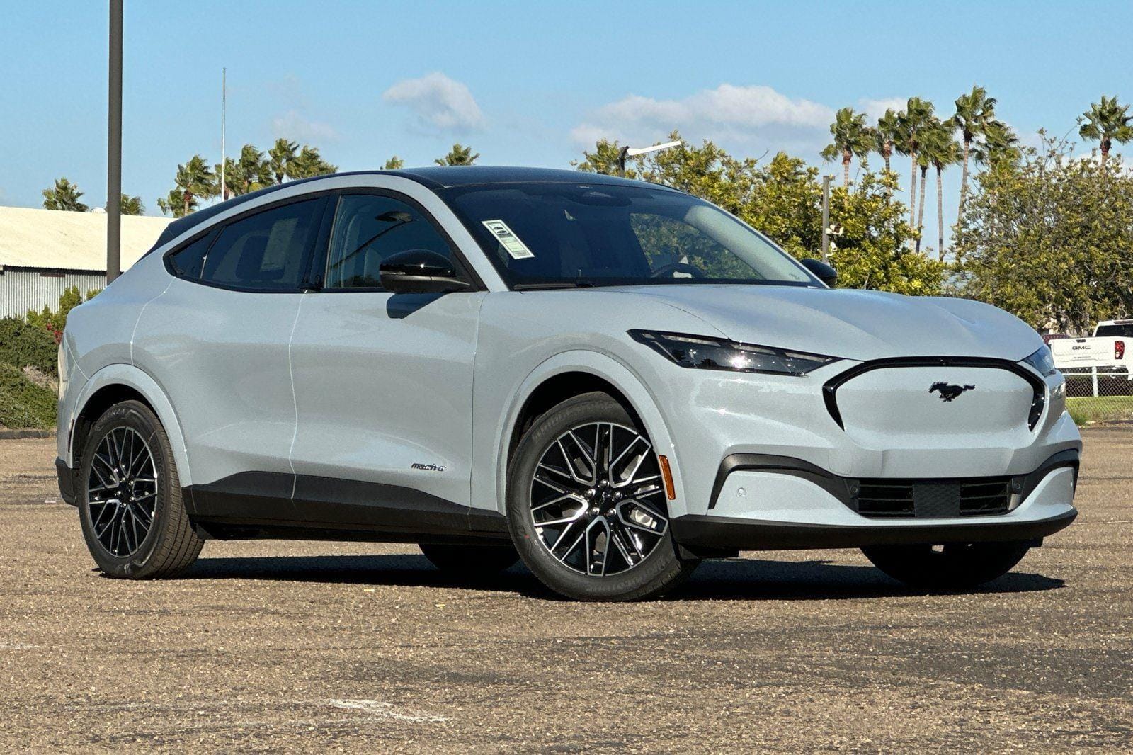2025 Ford Mustang Mach-E Premium RWD's photo