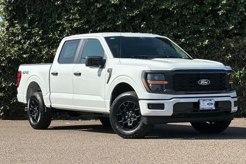 1 imagen de 2025 Ford F-150 STX