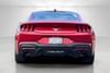 4 thumbnail image of  2024 Ford Mustang EcoBoost