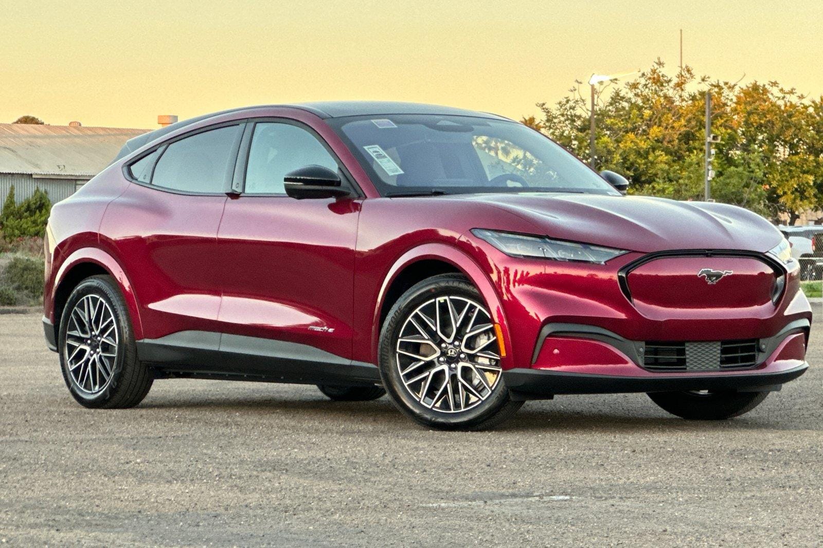 2025 Ford Mustang Mach-E Premium RWD's photo