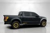 2 thumbnail image of  2019 Ford F-150 Raptor