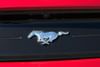 31 thumbnail image of  2022 FORD MUSTANG ECOBOOST FASTBACK