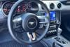 14 thumbnail image of  2022 FORD MUSTANG ECOBOOST FASTBACK