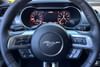 24 thumbnail image of  2022 FORD MUSTANG ECOBOOST FASTBACK