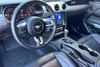 13 thumbnail image of  2022 FORD MUSTANG ECOBOOST FASTBACK