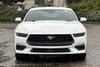 2 thumbnail image of  2026 Ford Mustang EcoBoost