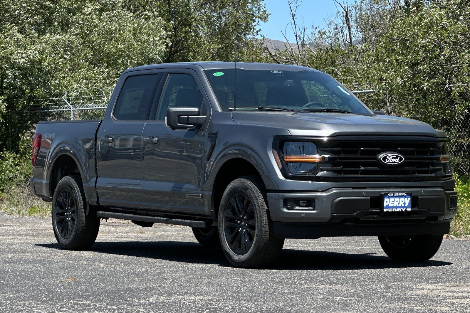 2025 Ford F-150 XLT's photo