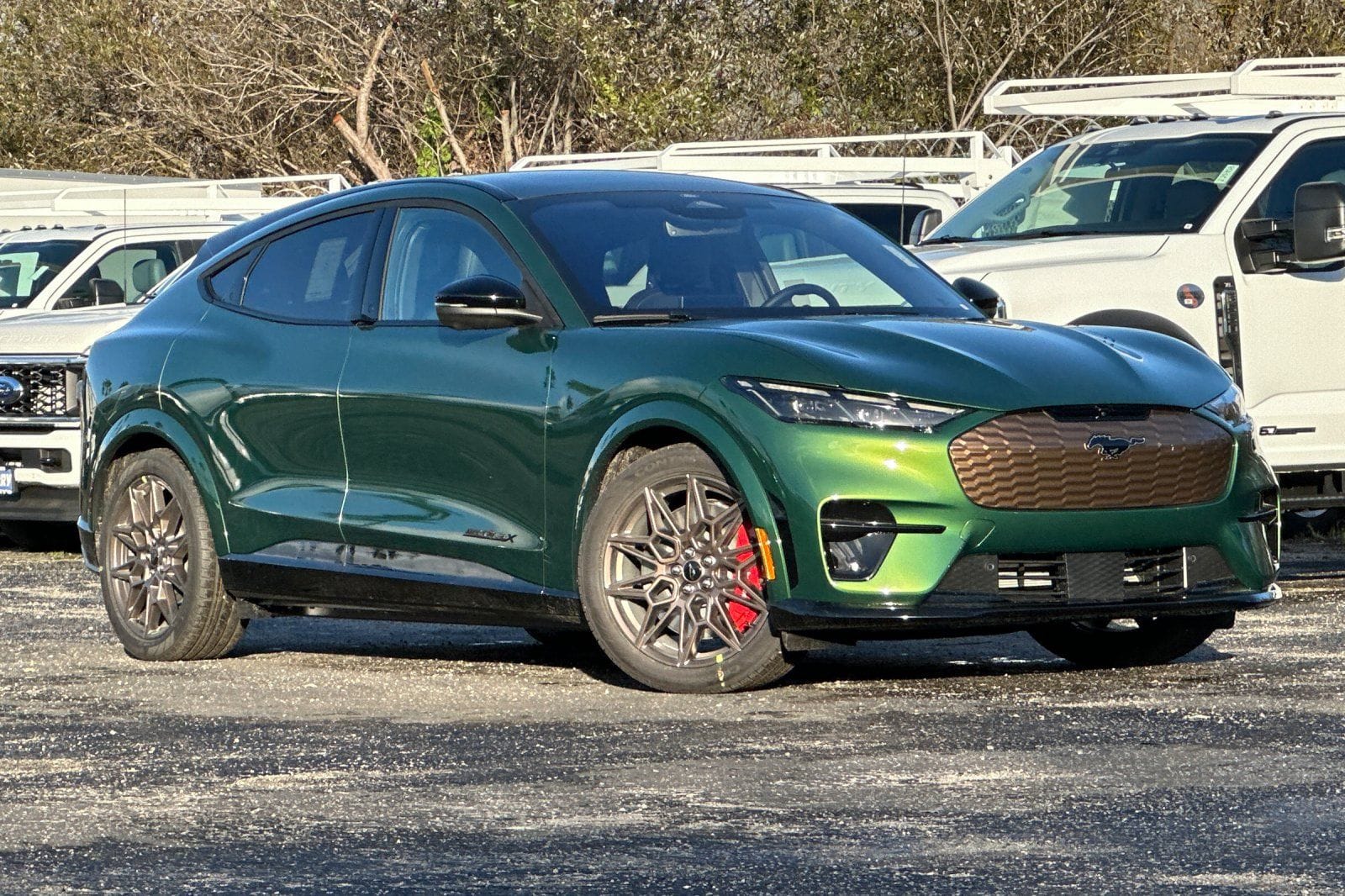 2025 Ford Mustang-Mach-e GT's photo