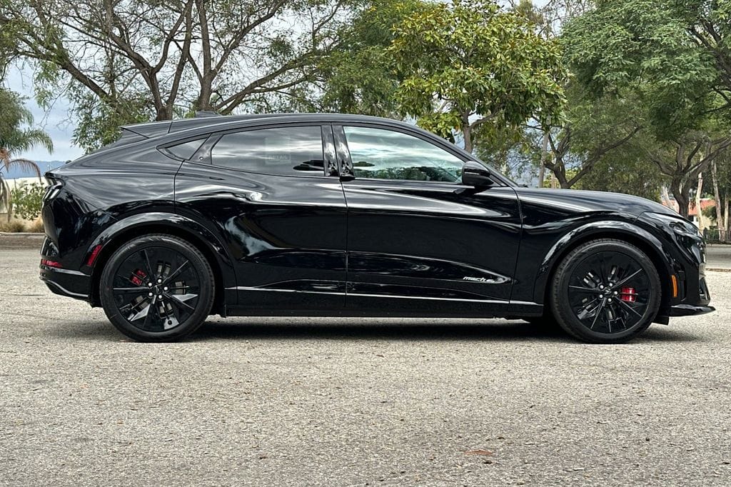 2025 Ford Mustang Mach-E GT - Photo 3