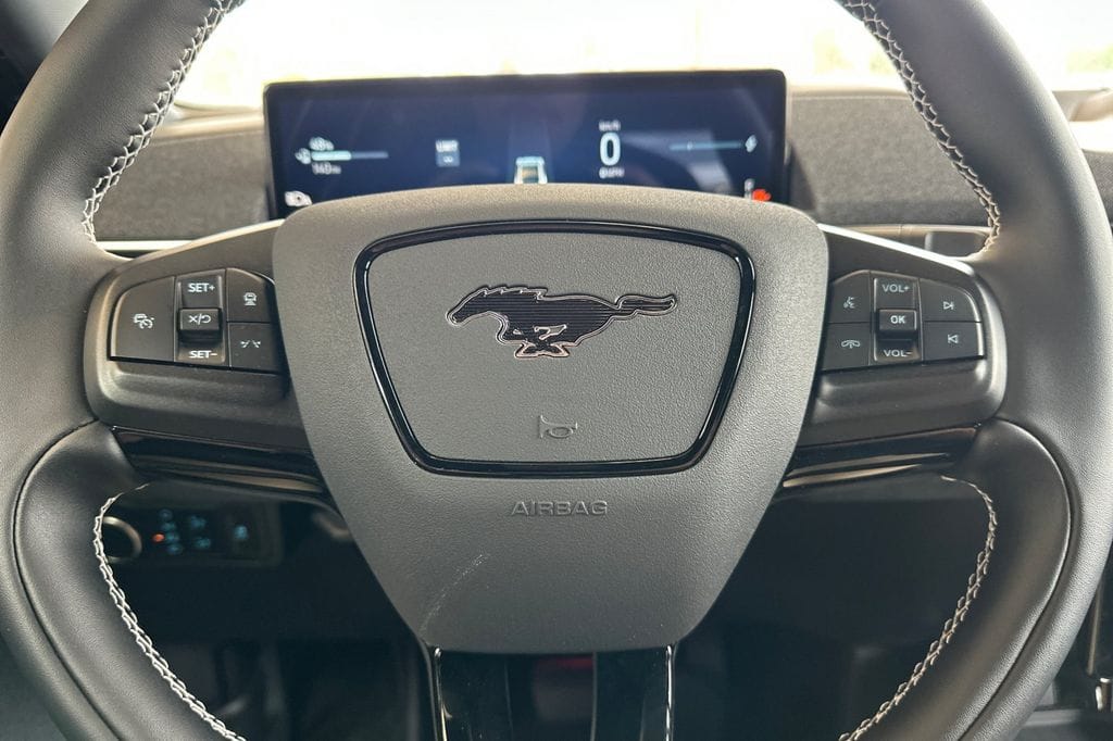 2025 Ford Mustang Mach-E GT - Photo 20