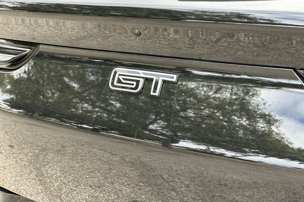 2025 Ford Mustang Mach-E GT - Photo 6