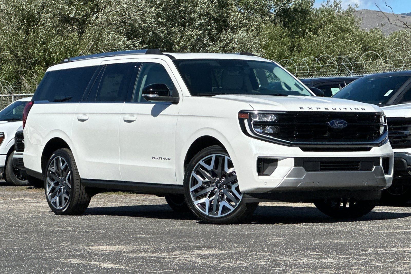 2026 Ford Expedition Platinum MAX 4x4's photo